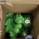 Whimsical Christmas Tree - Christmas Decorations - 6ft Pre-Lit Artificial Tree with Timer Remote Control 150 LED Lights - Xmas Holiday Decor for Indoor Home Living Room Office (Green)