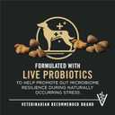 Purina Pro Plan Complete Essentials Shredded Blend Chicken and Rice Dog Food Dry Formula with Probiotics for Dogs - 5 lb. (EXP 06/30/26)