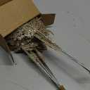 Christmas Glitter Stems 24pcs Artificial Pine Tree Picks for Christmas Tree Ornaments fillers, DIY Xmas Wreath, Crafts, Garland, Holiday, Party, Wedding and Home Decoration (Champagne Gold)