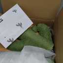 Made4Pets Cat Scratching Post, 25.6" Cactus Cat Scratcher Kitten Scratch Post with Sisal Rope for Indoor Cats Claw Scratcher, Vertical Green Cat Tree with Dangling Ball for Kitties Medium