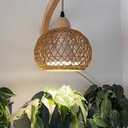 Bstrip Hanging Grow Lights for Indoor Plants, 18W Full Spectrum, Boho Rattan Lantern Shade, 3800K Wall-Mounted Decorative Plant Light with 9.8FT Power Cord, Ideal for Tall Plants, Flowers