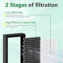 2-Pack F1701HE 30613 Replacement Filter Compatible with Hunter F1701HE/21 30613 Purifiers, for Models HT1701, 30100 Series