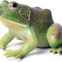 SCAHOW Plastic Frog Toys for Kids, Rainforest Animals Figures, Rubber Bullfrog Figurine, Forest Woodland Animals Toys, Frog Decor Party Favor Garden Flowerpot Decoration (Green)