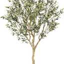Realead 7FT Olive Trees Artificial Indoor - Tall Faux Olive Tree 7 Feet with Realistic Leaves and Natural Wood Trunk - Potted Fake Olive Tree for Modern Home Office Living Room Floor Decor Indoor