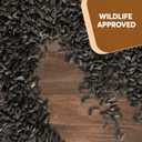 3 LB Black Oil Sunflower Seeds for Birds  Premium Wildlife & Bird Food  Grown in USA - Non-GMO - Black Oil Sunflower Seeds for Wild Birds and Backyard Feeders