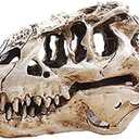 KODENG Tyrannosaur Skull T-Rex Skull Gifts Lifelike Resin Crafts Dinosaur Skull Fossil Teaching Skeleton Model Home Aquarium Decor (A)