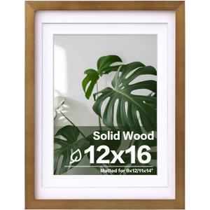 Egofine 12x16 Picture Frame Made of Solid Wood with Plexiglass, Display Pictures 9x12/11x14 with Mat or 12x16 Without Mat, for Wall Mounting Photo Frame, Light Brown
