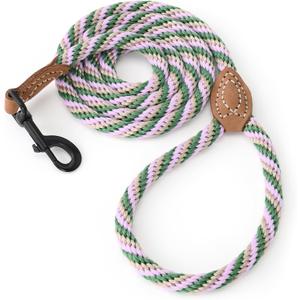 Mile High Life Dog Leash, Braided Rope Leash with Genuine Leather Tip,  Heavy Duty Leashes for Small Medium & Large Dogs Walking (Green, 48 Inch)