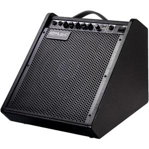 Coolmusic Electric Drum AMP 100-Watt Electronic Drum Amplifier DM100 Keyboard Speaker with Wireless Audio Connection, with 3-Band EQ and DI Out Black