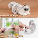 Vodolo Taba Squishy Cat,Ultra-Soft Stress Relief Squishy Fidget Toys Adults,Small Cute Sensory Squeeze Toys,Fun Kids Enjoy Decompression Toy,Soft and Relaxing Squeezing Toy,Grey