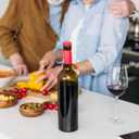 Qinyoung 72 Pcs Slow Wine Pourer Spout for Corked Bottles Pour and Seal Plastic Wine Pourers with Lid for Storing Precise Pouring (Red)