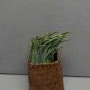 10Pcs Artificial Grasses in Natural Basket,Woven Wicker Vases with 13.8Artificial Shrubs Wheat Grass Greenery,Fake Grasses for Home Bathroom Office Farmhouse Decor