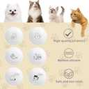 6 PCS Cat Bowls,Cat Food Bowl,Anti Whisker Fatigue Ceramic Cats Dishes for Indoor Cats,Shallow Wide Kitten Plates for Wet & Dry Food and Water,Non-Slip Silicone Base (Cute Drawing cat)