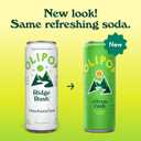 OLIPOP Sparkling Prebiotic Soda, Ridge Rush, Pantry Pack Packed with Prebiotics, Fiber, and Botanicals, Gluten Free, GMO Free, 12oz Skinny Can (12 Pack)
