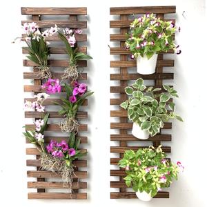 ShopLaLa Wall Planter Hanging Planter for Indoor Plants, Plant Stand, Air Plant Succulent Holder, Vertical Garden. Large Wall Decor for Living Room, Room Decor for Teens