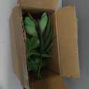 Supla 5 Pcs Assorted Artificial Succulents Plants Unpotted Small Green Cactus Echeveria Picks Fake Succulents Bulk for Succulent Garden Centerpiece Wreath Floral Arrangement Indoor Outdoor Home Dcor