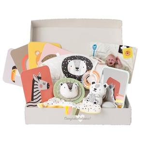 TAF Toys Newborn Developmental Toy Kit, Perfect Baby Shower Gifts for Boys and Girls, Includes 12 Essential Boy and Girl Toys for Learning and Stimulation, Ideal New Baby Gift Basket