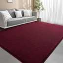 5x7 Feet Red Area Rugs for Bedroom, Indoor Washable Memory Foam Rug for Living Room, Modern Aesthetic Minimalist Non-Slip Carpets for Kids Boys Girls Adults Dorm Home Decor