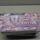 Clorox Scentiva Disinfecting Wet Mop Pad, Disposable Heads, Multi-Surface Floor Wipes, Lavender and Jasmine, 2 Packs, 24 Refills Per Pack