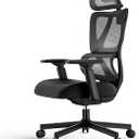 ProtoArc Ergonomic Office Chair for Home Office, High Back Desk Chair with Thick Spring Cushion, Adjustable Headrest, Armrests, Big and Tall Mesh Computer Chairs for Long Hours Sitting, EC100 - Grey