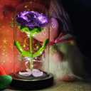 2 x Handmade Crochet Purple Rose Flower in Glass Dome with LED Light