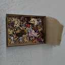 Crafthub Animal Puzzles | Wooden Jigsaw Puzzle | A3 Scottish Shorthair Cat Size | Adults & Kids | Cute Puzzle Pieces for Boys and Girls | 135 Piece