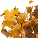 16 Pcs Artificial Ginkgo Leaves Stems Fall Greenery Stems Artificial Fall Flowers Spray for Autumn Vases Home Table Centerpieces Thanksgiving Decorations