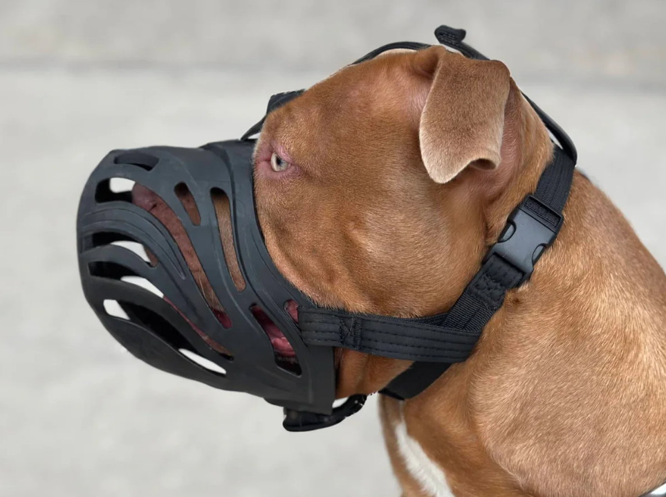 Muzzle | Flexi & Legal Requirement - Black, Size 5