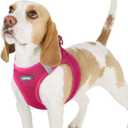 rabbitgoo Small Dog Harness, Step-in Soft Mesh Puppy Vest with Safety Buckle, Breathable Reflective Pet Harness for Small Sized Dogs, Rose Red M (M(Chest:16.0"-18.5"))