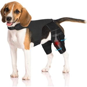 Dog Knee Brace for Torn ACL Hind Leg, Adjustable Dog Leg Braces for Back Leg with 4 Metal Stabilizers Helps with Torn CCL, Luxating Patella, Ligament Injuries, Hip Dysplasia, M