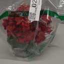 Hollyone Hydrangea Artificial Flowers in Vase Red Silk Fall Fake Flowers Arrangements with Glass Vase with Faux Water Faux Floral Bulk Bouquet for Office Table Centerpiece Shelf Home Decorations