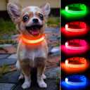 Light Up Dog Collar - Rechargeable LED Dog Collar, Adjustable Reflective Puppy Collar, Glowing Safety Dog Lights for Small Breeds Dogs Cats (Orange) (XS (8.5-11.8inch / 21.5-30.0cm))