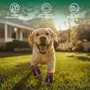 Dog Shoes for Small Dogs, Anti-Slip Dog Boots for Winter Snow, Hot Pavement, Dog Booties & Paw Protectors for Hardwood Floors Size 0