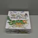 Grow Forward Premium Wheat Straw Plates - 10 Inch Reusable Hard Plastic Dinner Plates Set of 8 - Unbreakable Microwave Safe Plates for Dessert, Camping, RV, Outdoors, Patio, Kitchen Dishes - Seascape