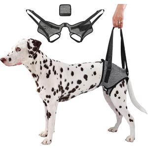 Dog Sling for Medium Large Dog Rear Leg, Lift Harness Provide Support with Muscle Atrophy and Joint Problems for Elderly Injured Arthritic Pet, Dog Weak Rear Legs Provides Rehabilitation Aid (XL-Waist(24"-30"), Light Grey)