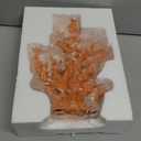 Lifelike Coral Reef Sculpture Statue - Handmade Resin Ocean Decor for Aquarium, Desk, Bathroom, Shelf - Coastal Beach Nautical Theme Gift for Home & Office