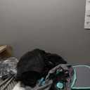 INTURN Catio Outdoor Cat Enclosure, Mega Kit for Outdoor and Indoor(Mega Kit)