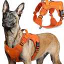 rabbitgoo Tactical Dog Harness for Large Dogs, No Pull Military Service Vest with Handle & Molle, Easy Control for Training Walking, Adjustable Reflective Straps, Orange, L