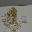 OVV Christmas Decorations 13FT Pearl Garland String Lights 40LED Festive Lighted Berry Beaded Indoor Bedroom Decor Warm Lights for Wedding Valentine's Day Party Battery Operated (Golden)