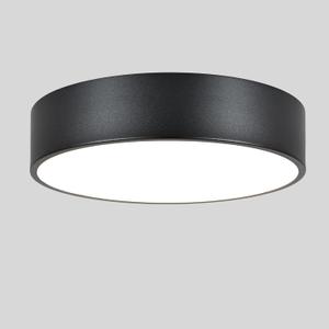 Black Flush Mount Light Fixture, 2-Light Minimalist Close to Ceiling Lamp, Industrial for Hallway, Entryway, Closet, Kitchen Island, Foyer, Balcony, Farmhouse, 11.8 Inch