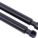 ApplianPar 2Pcs Front Hood Lift Support Shock Struts for BMW 640i 650i 520i 528i 523i Left and Right Side