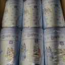 Luvs Size 4 Baby Diapers, Platinum Protection Bluey Diapers for Day & Night, Size 4, 198 Count