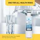 HX2019F-A HX2019FR-A Water Filter Replacement, Compatible With Hisense HRM260N6TSE, HRFD560SW, HRCD585BW, HRFD634BW, HRCD650BW, HRCD586TBWB and Mora MRM260N6TSE