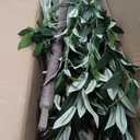 Alupssuc Olive Trees Artificial Indoor, 6FT Tall Faux Olive Tree with White Planter, Artificial Plants with Lifelike Fruits and Realistic Leaves for Modern Home Office Living Room Decor