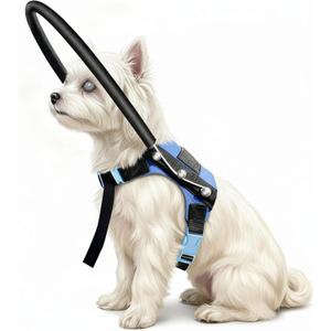 Adjustable Blind Dog Halo Harness, Protective Collar & Guiding Device, Safe and Confident Navigation Guiding Aid for Visually Impaired Pets (8.5-12.5in)