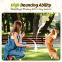 Nobleza Dog Tennis Balls 12 Pack, 2.5 Floatable Squeaky Tennis Ball for Small Medium Dogs, Training Safe Natural Rubber Squeaky Dog Balls for Dogs to Fetch Exercise, Yellow