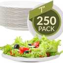 Reli. Compostable Paper Plates 7 Inch (250 Pack Bulk) | White Disposable Plates 7" | Heavy Duty Paper Eco Friendly | Made of Sugarcane Fibers/Bagasse - Biodegradable/Compostable| Small