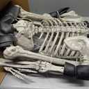 JOYIN 5.6 FT Halloween Posable Life Size Skeleton, Full Body Realistic Bones with Movable Joints, Giant Skeletons Halloween Decorations for Indoor Outdoor Haunted House Props, Spooky Scene Party Decor