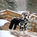 Fleece Dog Coat for Small Medium Dog,Pullover Pajamas Jumpsuit Bodysuit Puppy Coats with Legs, Pet Windproof Warm Cold Weather Jacket Full Body Vest Cozy Snowsuit Outfit Clothes (White, L)
