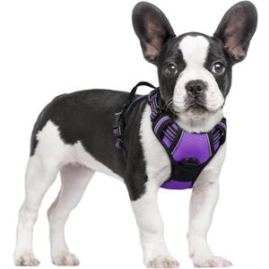 rabbitgoo Dog Harness No Pull with 2 Leash Clips, Adjustable Soft Padded, Reflective Oxford No Choke Pet Vest with Easy Control Handle for Small Dogs, Purple, S